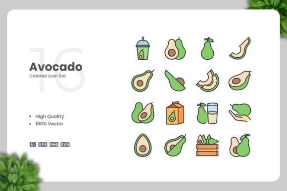 Avocado Color Icons Graphics