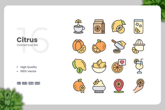 Citrus Color Icons Graphics