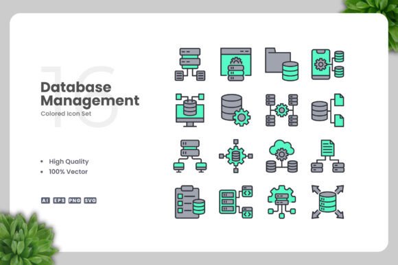 Database Management Color Icons Graphics