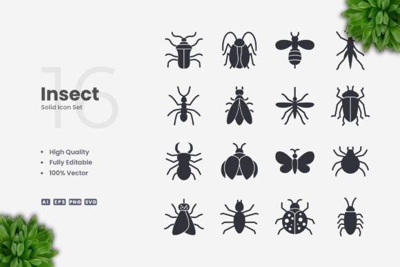 Insect Solid Graphics Icons